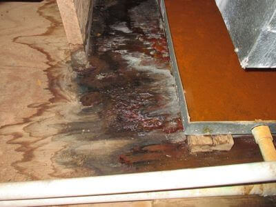 About Pinnacle Restoration - water damage restoration experts in Leicester